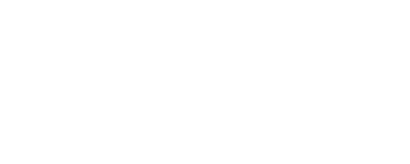 Cactus Festival